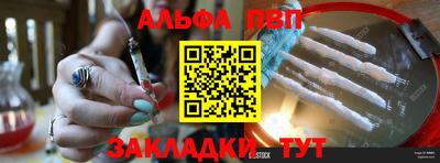 ECSTASY Новодвинск