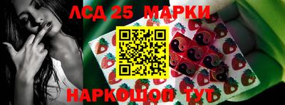 Альфа ПВП Обнинск