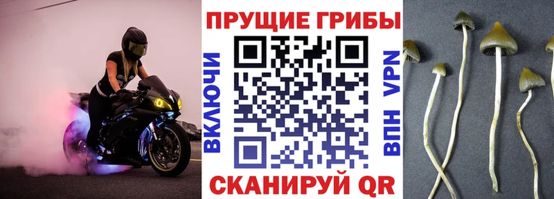 Псилоцибиновые грибы прущие грибы  Сухой Лог 